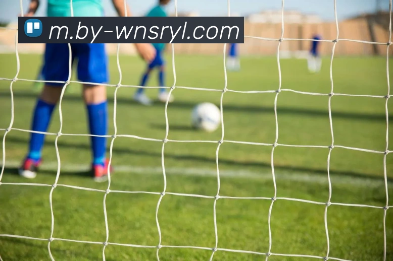 威尼斯人娱乐官网平台生态图